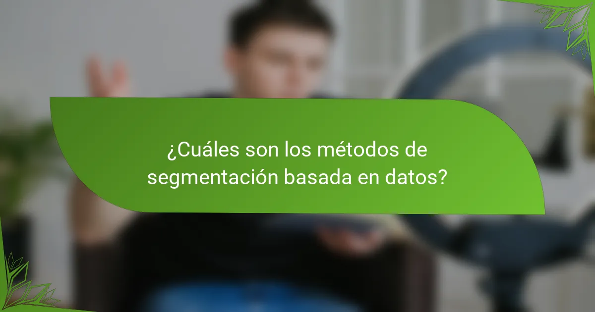 ¿Cuáles son los métodos de segmentación basada en datos?